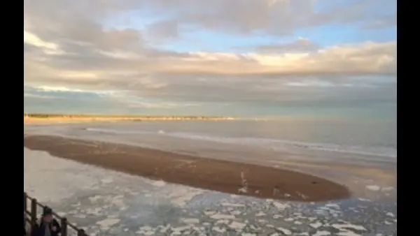14901 - plage d'automne