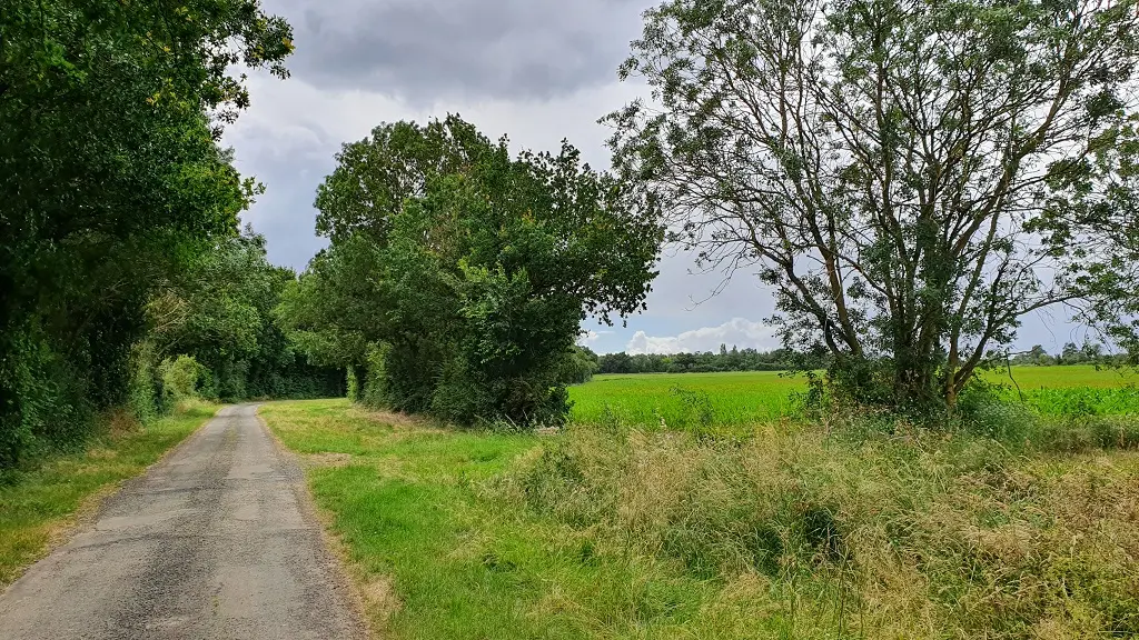 642484_randonnee-pedestre-le-bois-joli-85770-velluire-vendee-_3