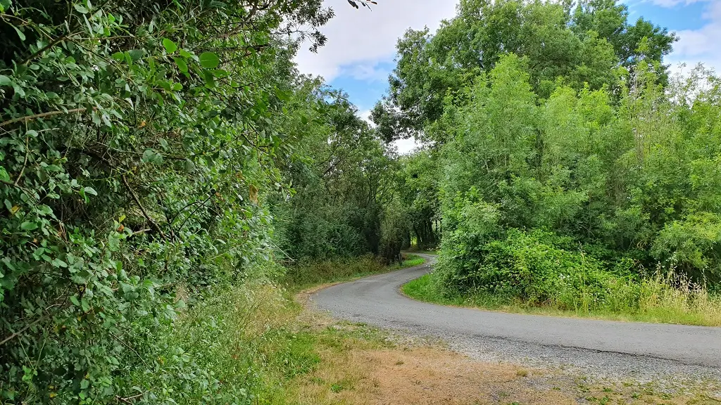 642485_randonnee-pedestre-le-bois-joli-85770-velluire-vendee-_4