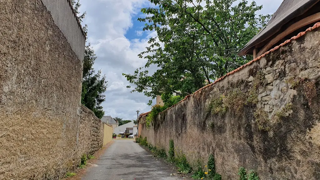 642486_randonnee-pedestre-le-bois-joli-85770-velluire-vendee-_5