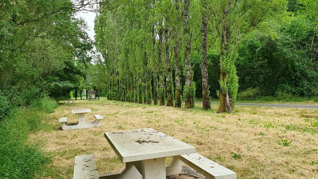 642487_randonnee-pedestre-le-bois-joli-85770-velluire-vendee-_6