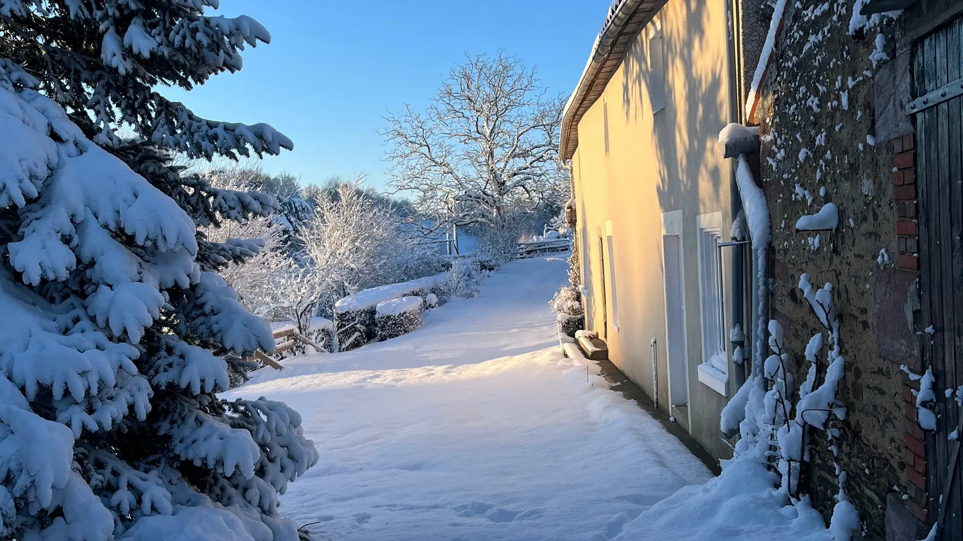 414339 - sous la neige