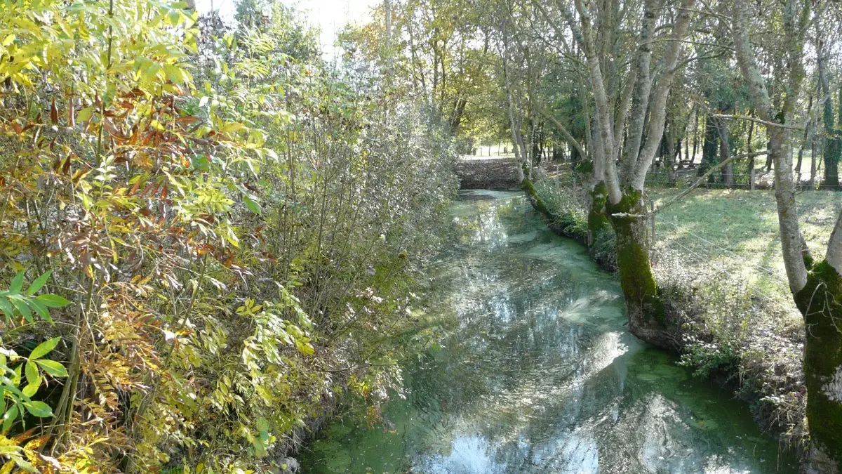 350392 - Marais poitevin