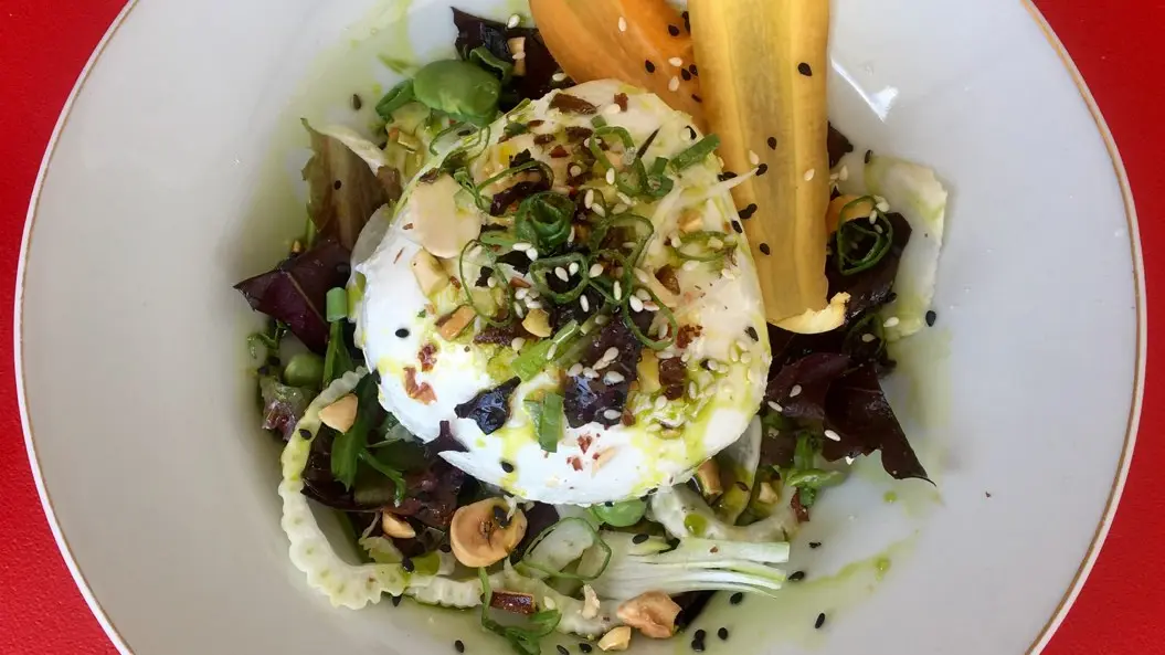 Ô Saule_Thoiré sur Dinan