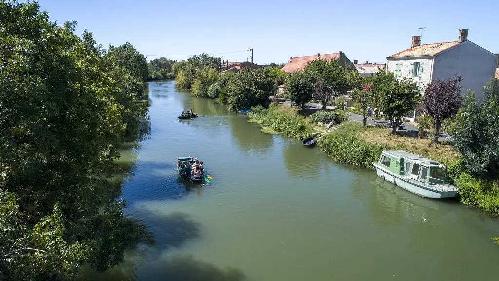 Sentier Les Rainettes à Damvix