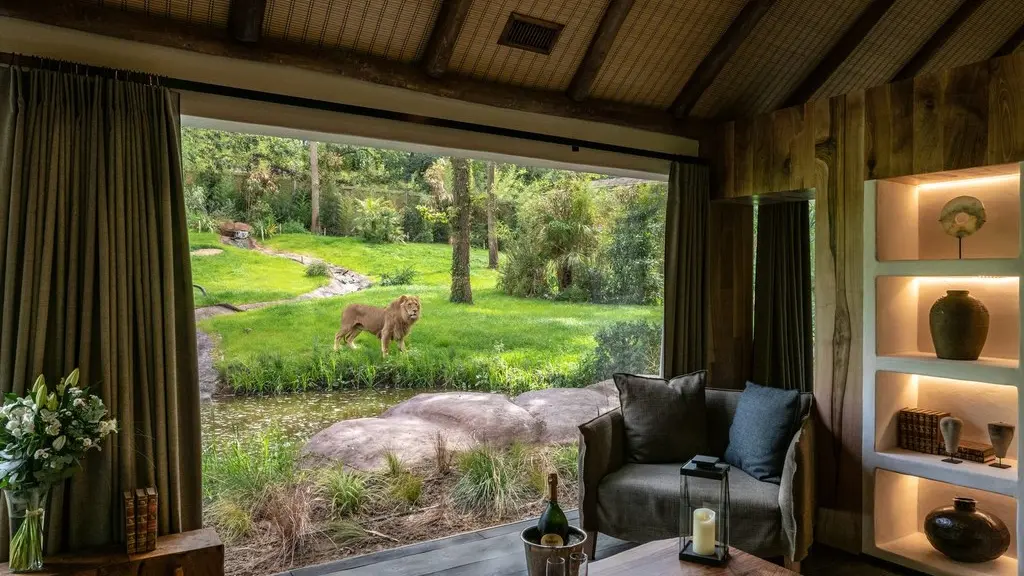 Serengeti Lodge - Univers lions d'Afrique