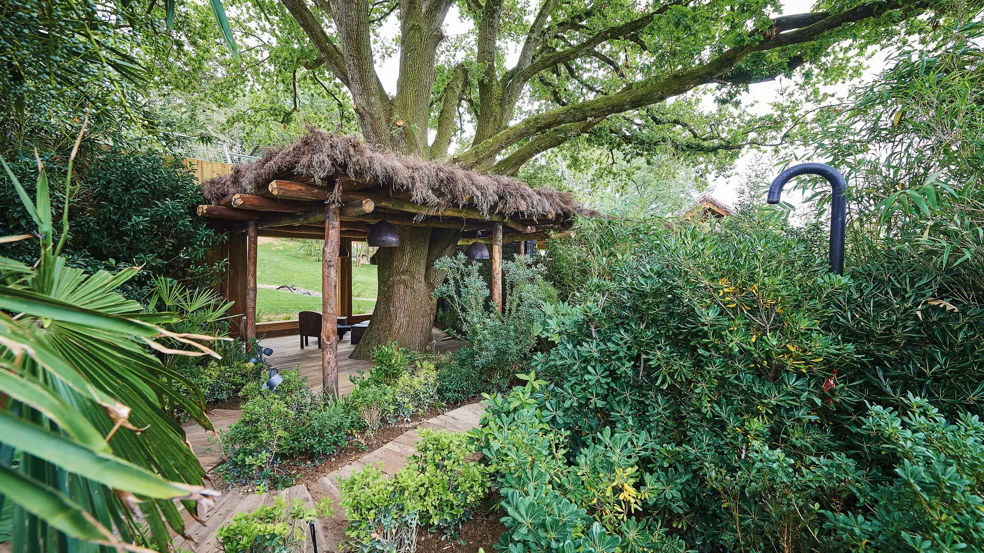 Kruger Lodge - Univers lions blancs