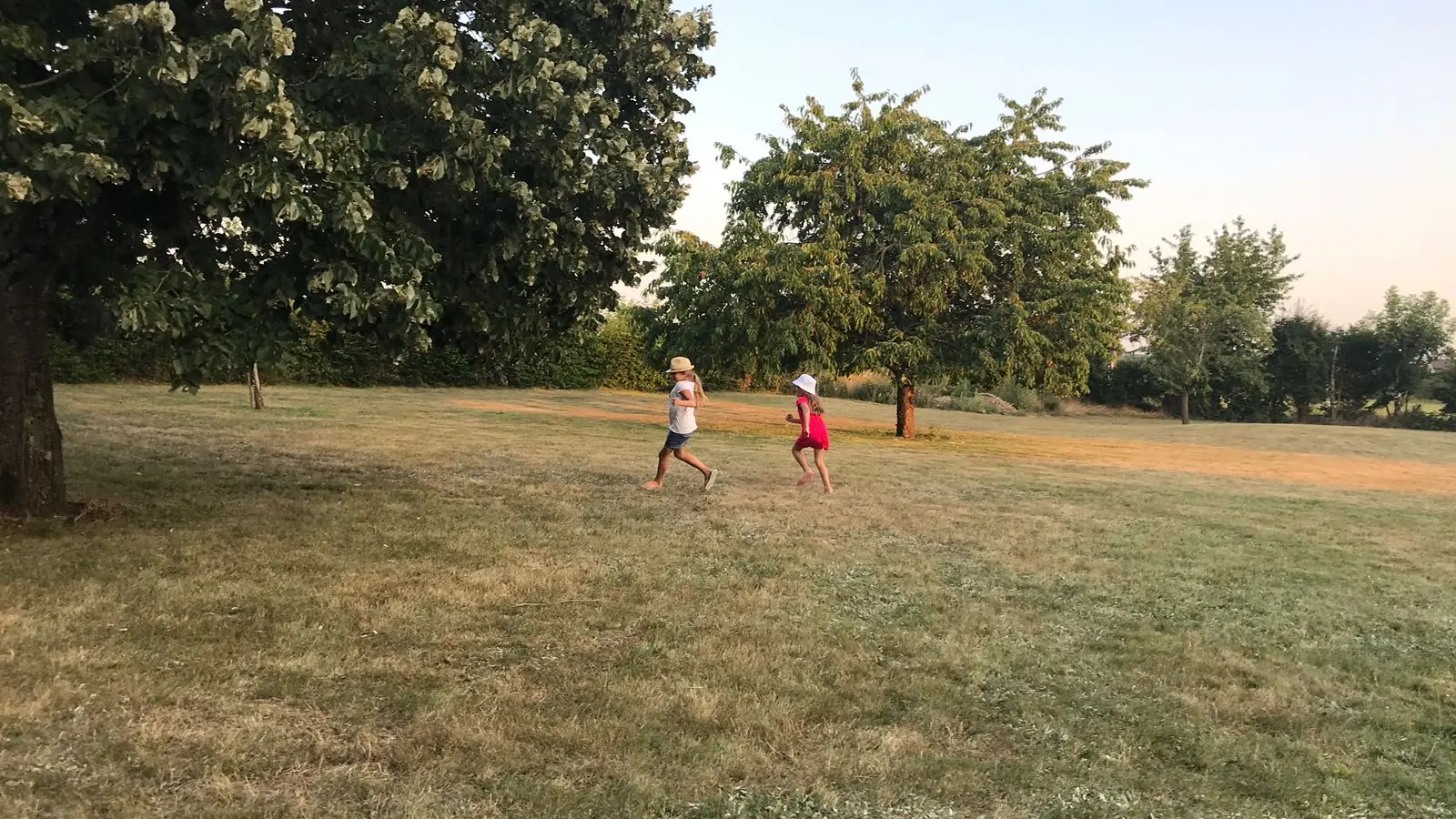 Gîte de l'Angellerie_la Bruère sur Loir_Grand jardin arboré indépendant