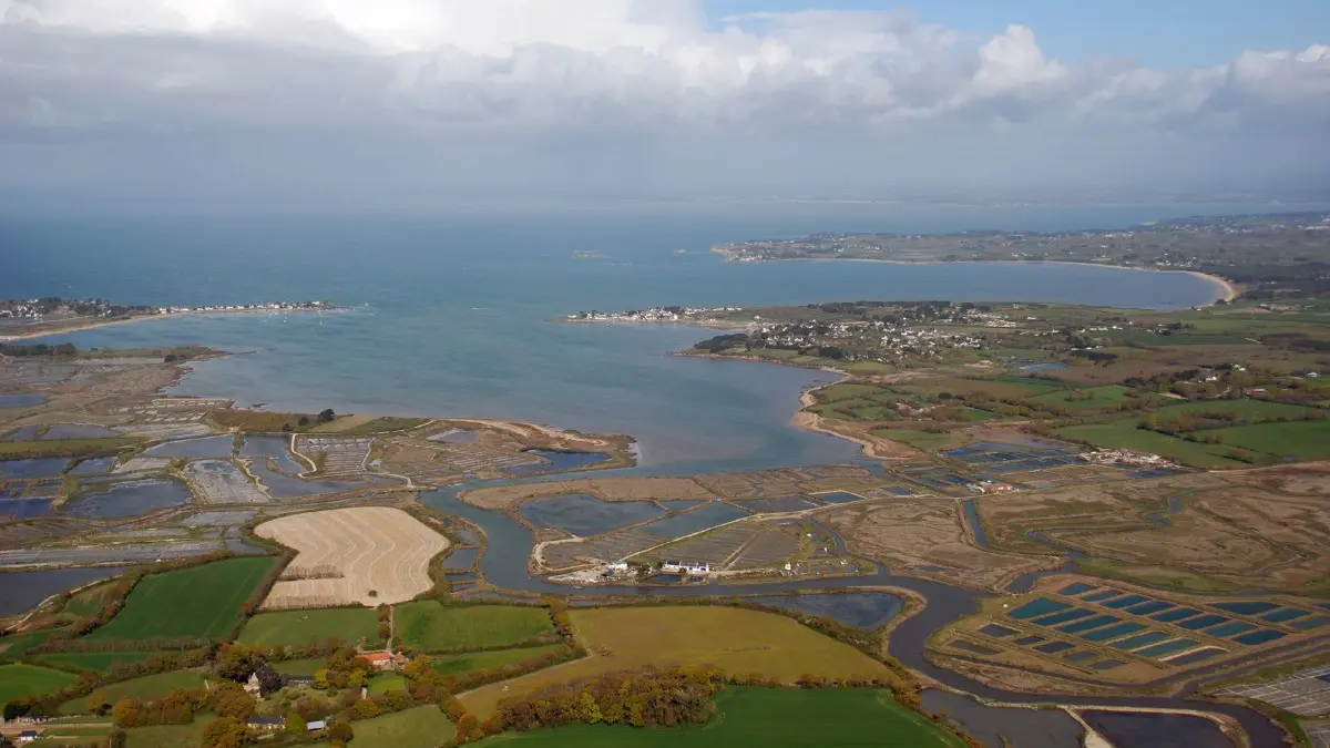 201272 - Gîte Soleil levant - Traict de Mesquer