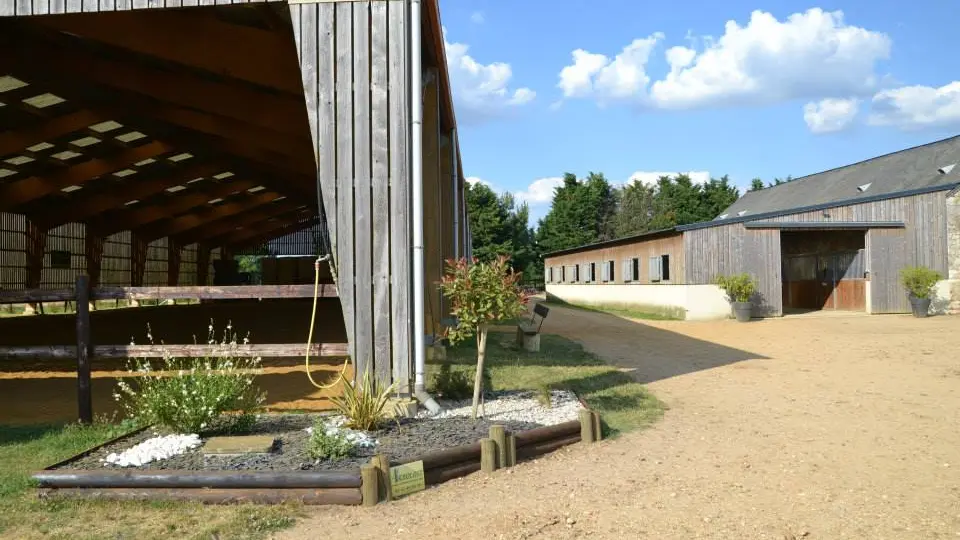 10253802_540742389371019_1195463025085937316_n