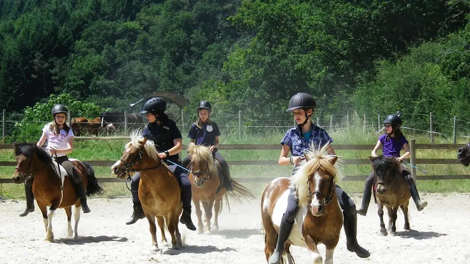 Centre équestre de la Chevallerie - Saint-Léonard-des-Bois