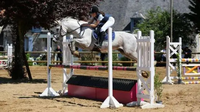 13007129_1588668574780031_7231046929382518955_n