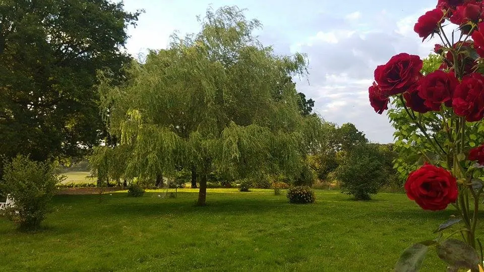 13592443_642626682555694_7352380689292700284_n