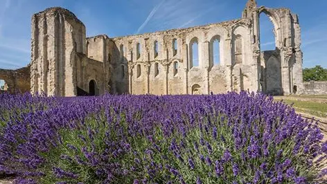 Abbaye de Maillezais