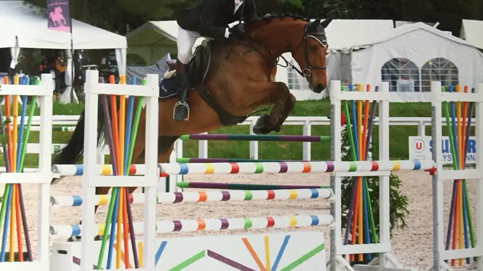 14079883_1680271985528679_6649962097342343911_n