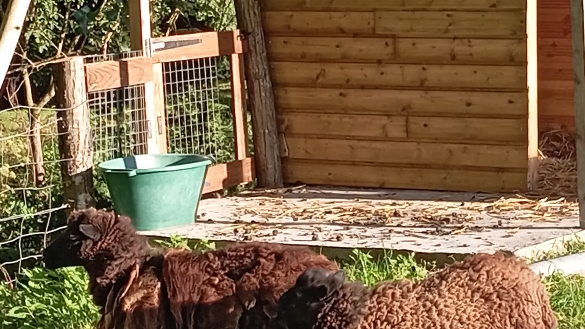 Gwen et Soizic, les nouvelles venues