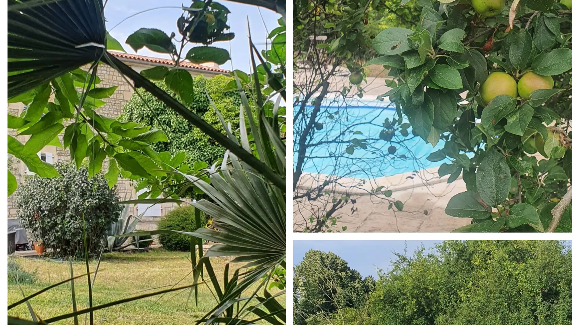 373224 - Le jardin