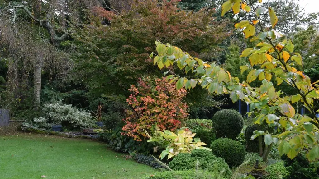 jardin-de-la-mansoniere-saint-ceneri-le-gerei-72-3