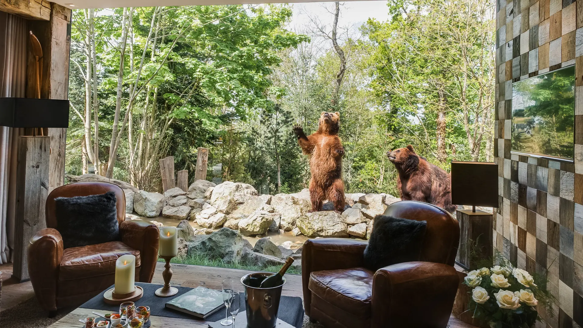 Yukon Lodge - Univers ours grizzlys