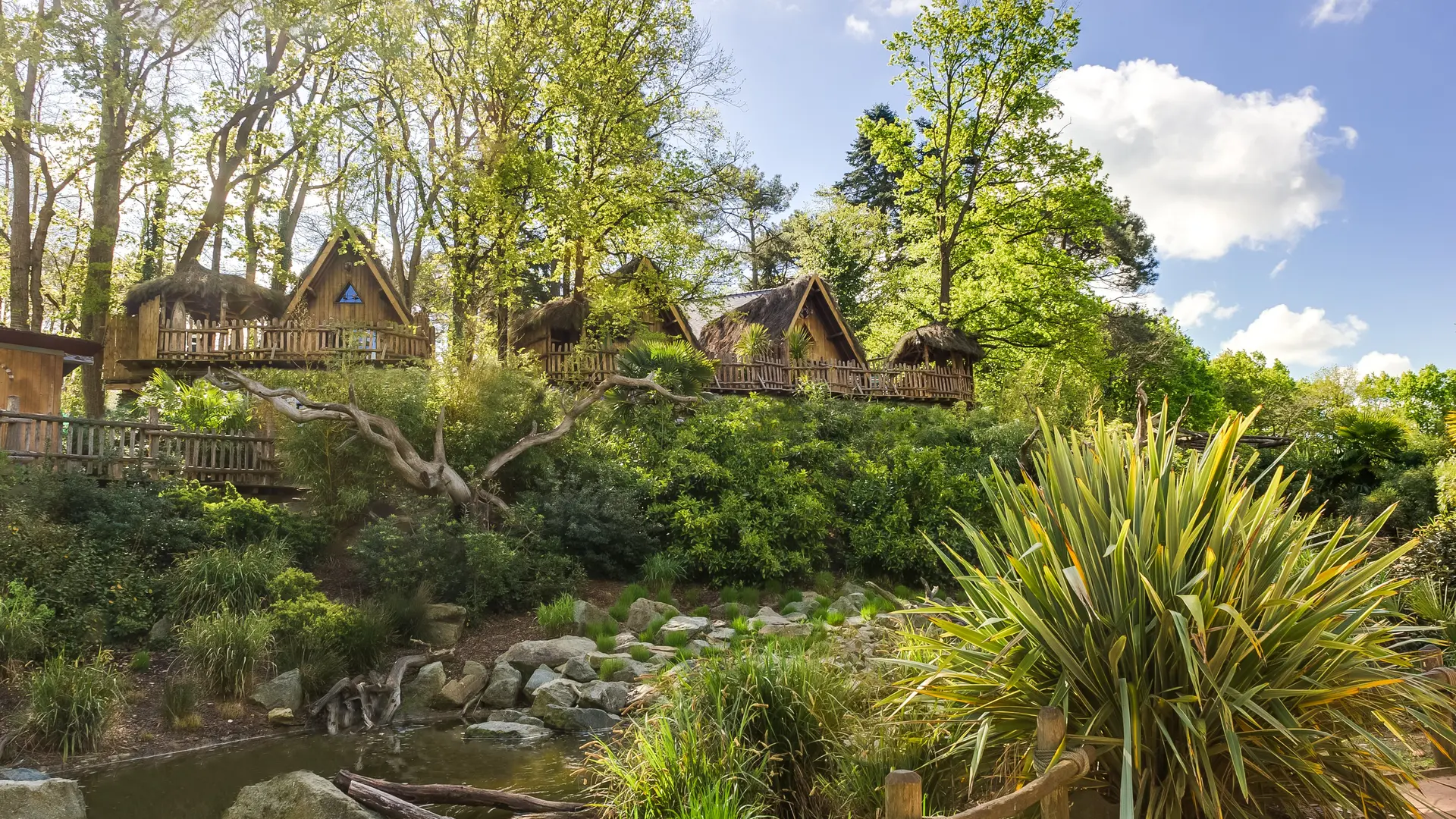 Mangoro, Malagasy et Tana Lodge - Univers lémuriens
