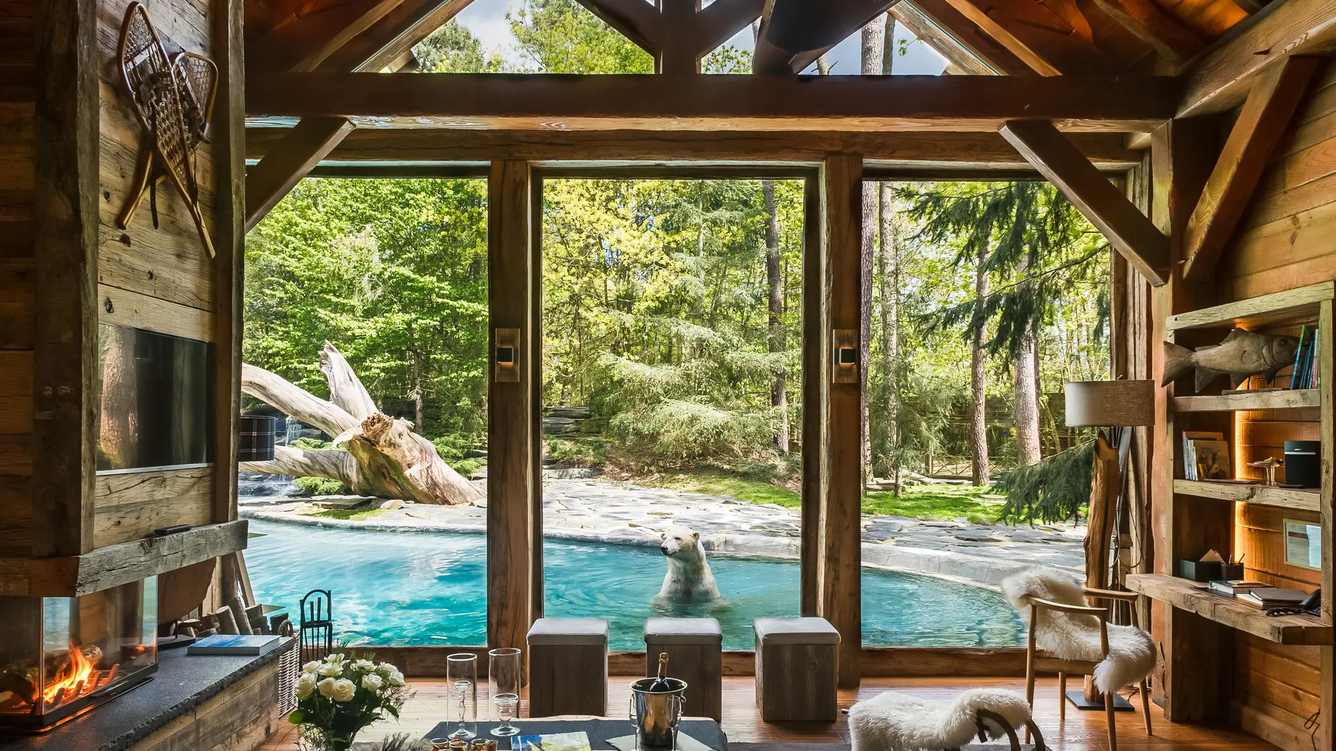 Arctic Lodge - Univers ours polaires