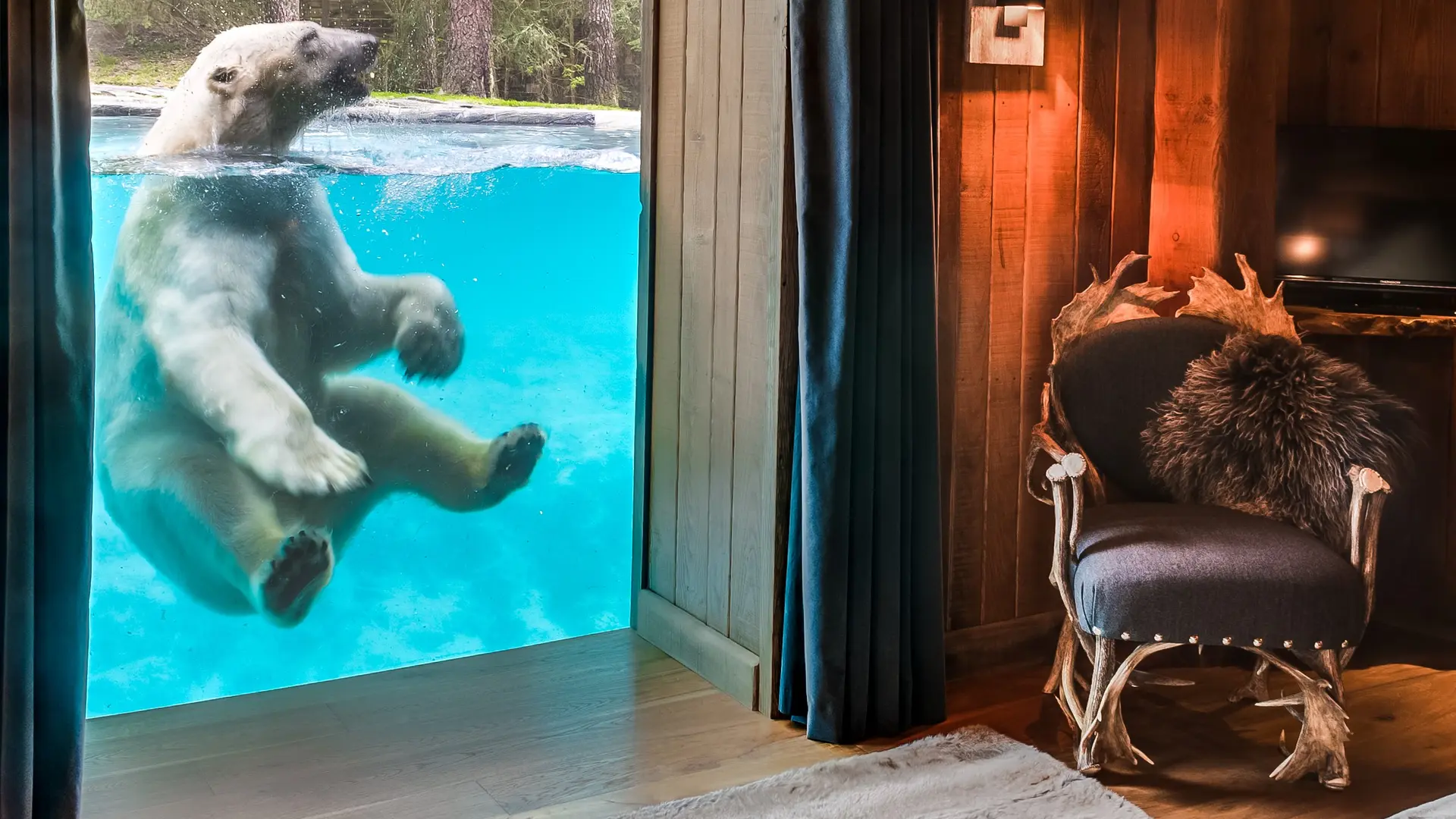 Arctic Lodge - Univers ours polaires