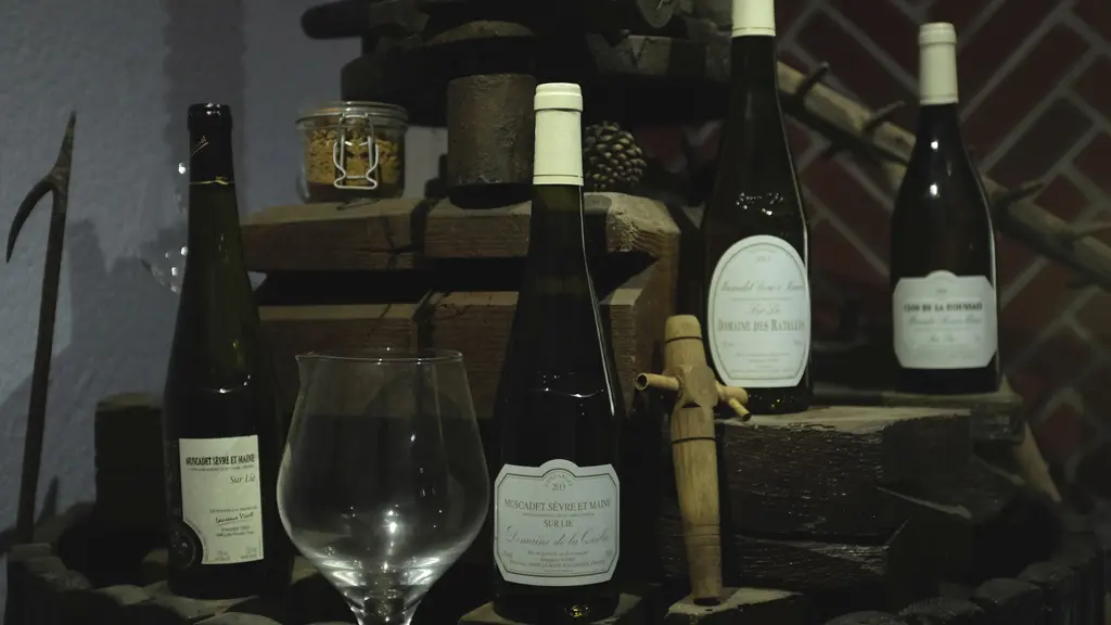 2016-cave-Domaines-Vinet-La-Haye-Fouassière-44-levignobledenantes-tourisme-DEG (2)