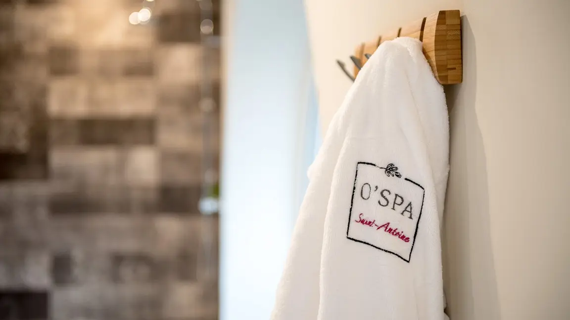 2016-hotel-bestwestern-spa-clisson©Dominique Drouet-44-levignobledenantes (5) [1280x768]