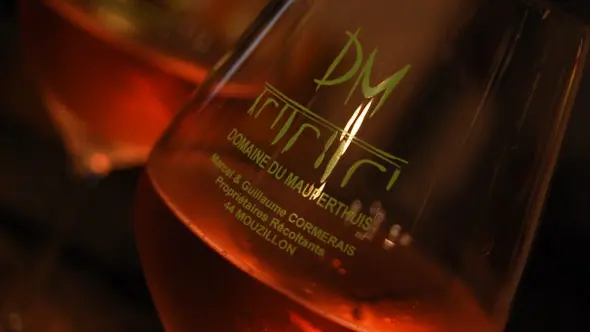 2017-domaine-mauperthuis-mouzillon-44-levignobledenantes-2