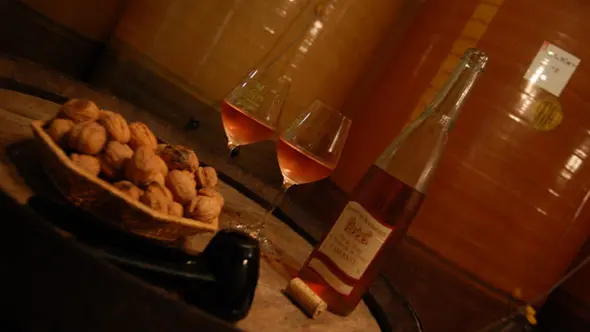 2017-domaine-mauperthuis-mouzillon-44-levignobledenantes-3