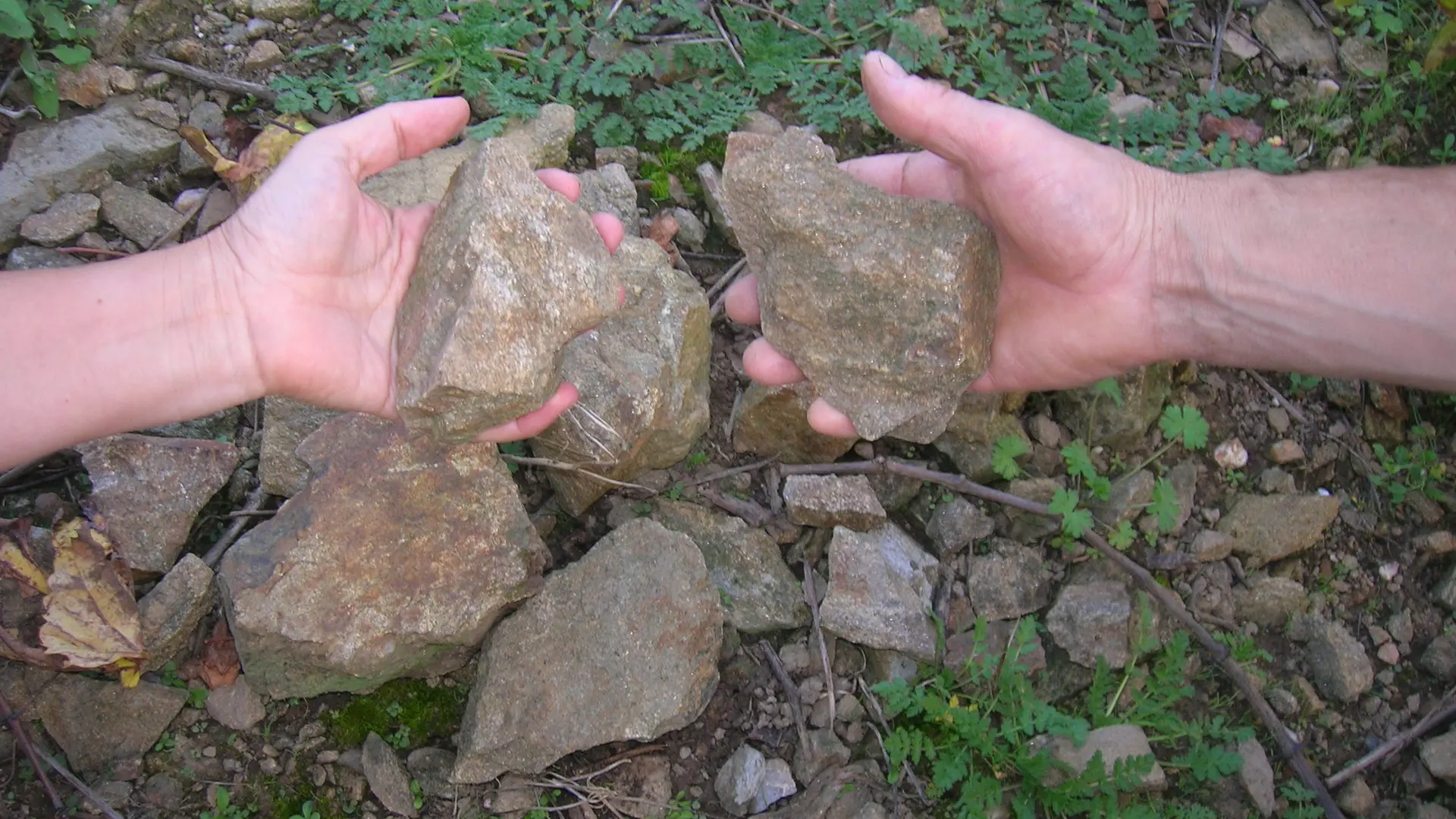 2018-Domaine-JLV-terroir-levignoblenantes-tourisme