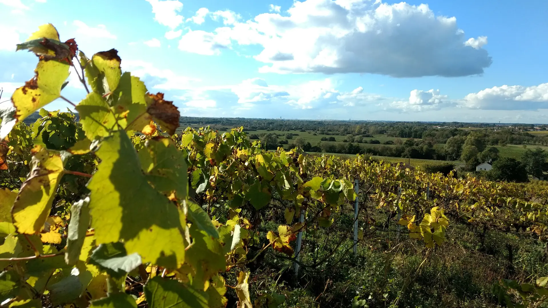 2018-buttedelaroche-lelorouxbottereau-1-levignobledenantes