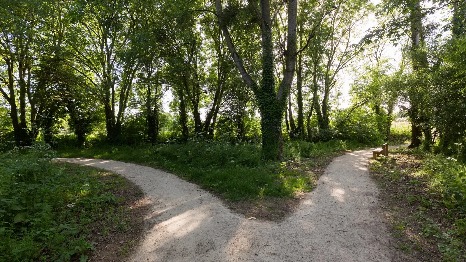 2018-coulee-logne-vallet-vignoblenantes-tourisme (1)