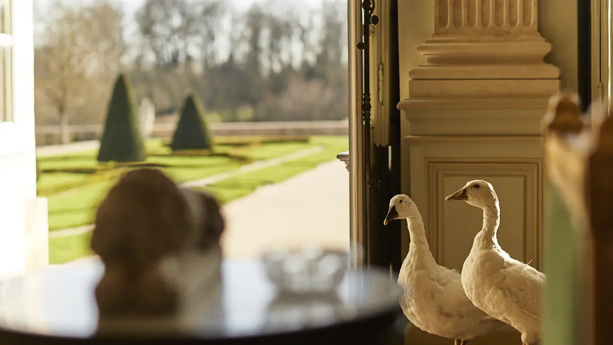 Hôtel Château du Grand Lucé