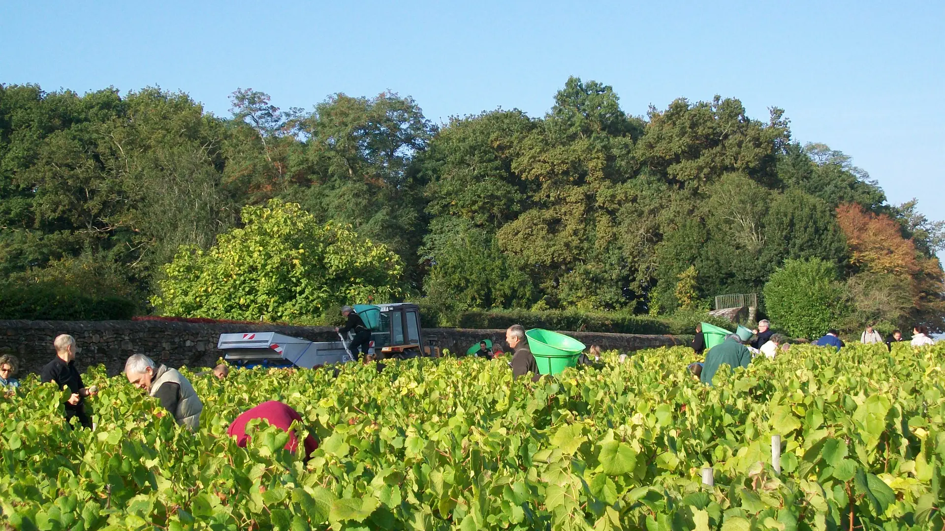 2019-FamilleLieubeau-chateauthebaud-44-levignobledenantes