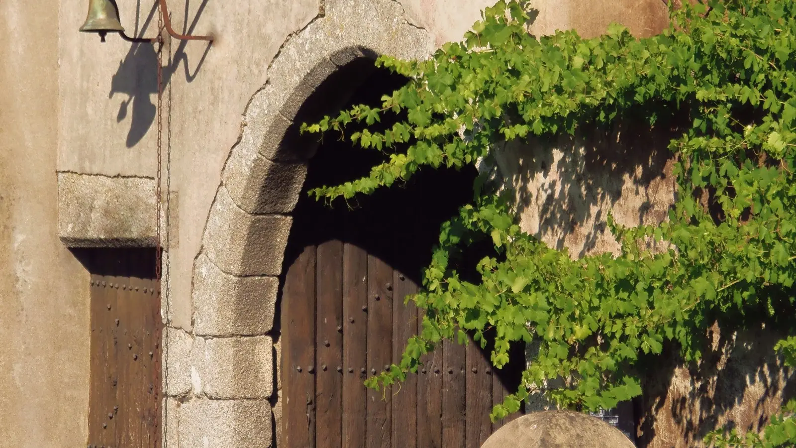 2019-vignerons-oenotourisme-freres-couillaud1-la-regripiere-levignobledenantes