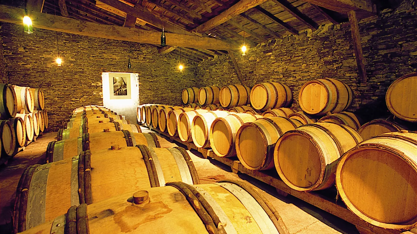 2019-vignerons-oenotourisme-freres-couillaud6-la-regripiere-levignobledenantes