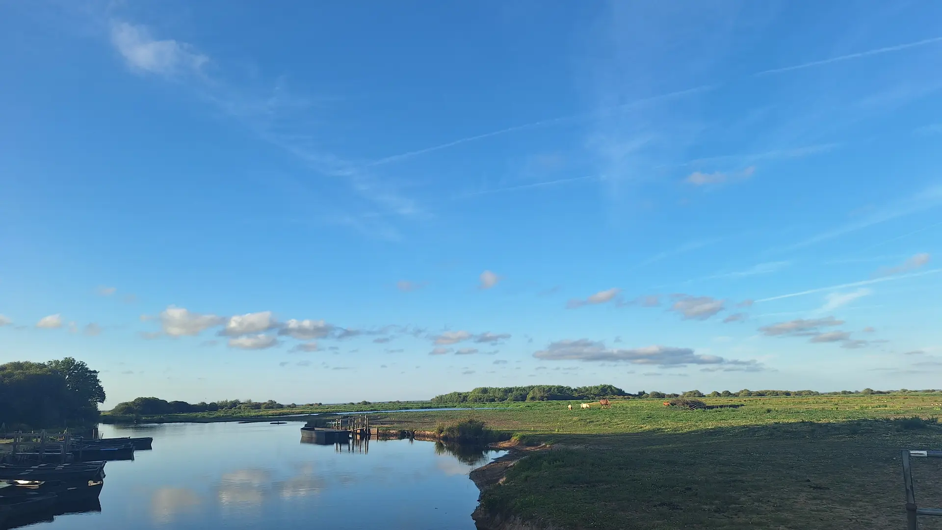 TADAM : le fameux Parc Régional de Brière !