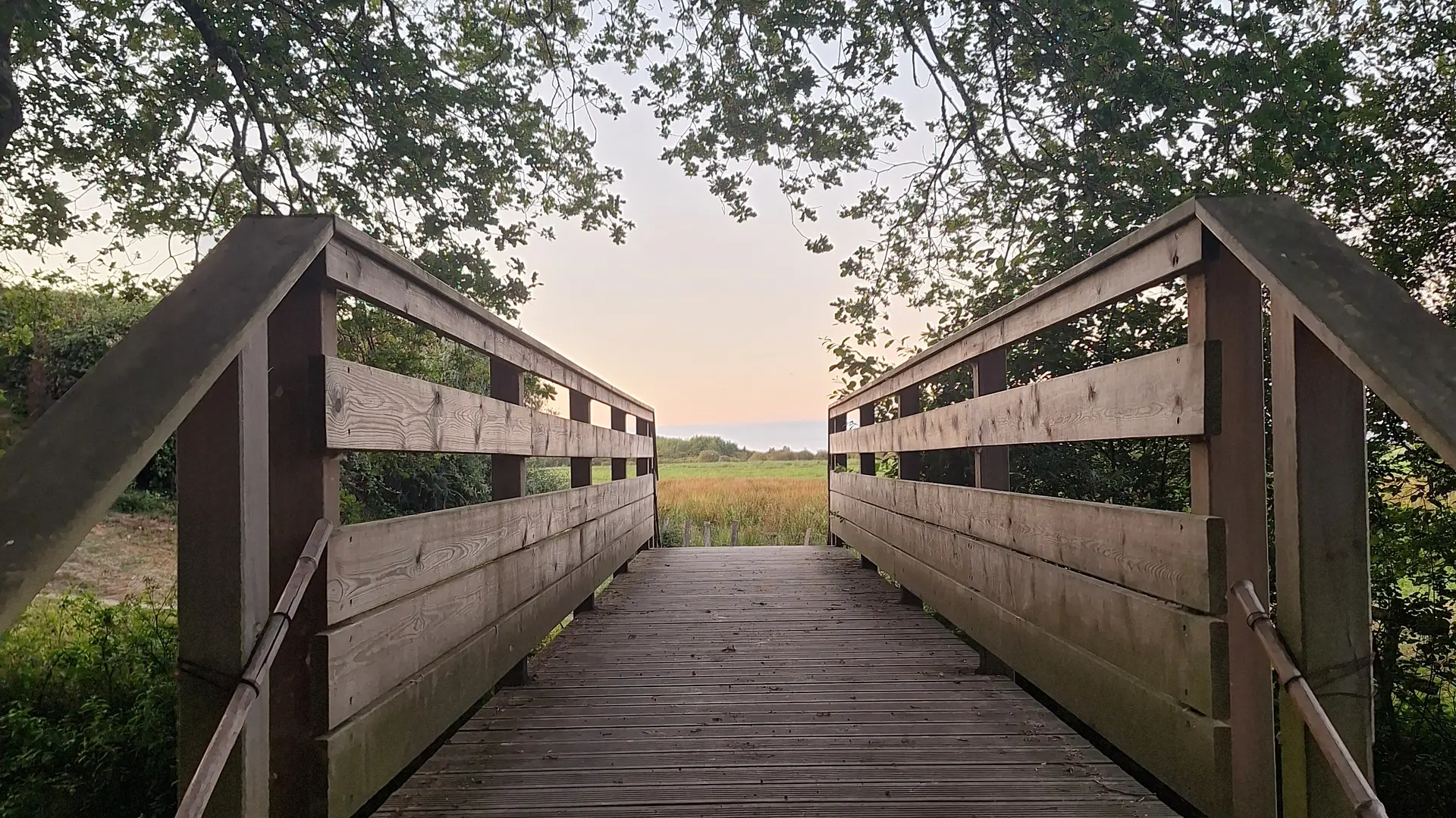 Traverser ou rester du même côté ? C'est à vous de choisir