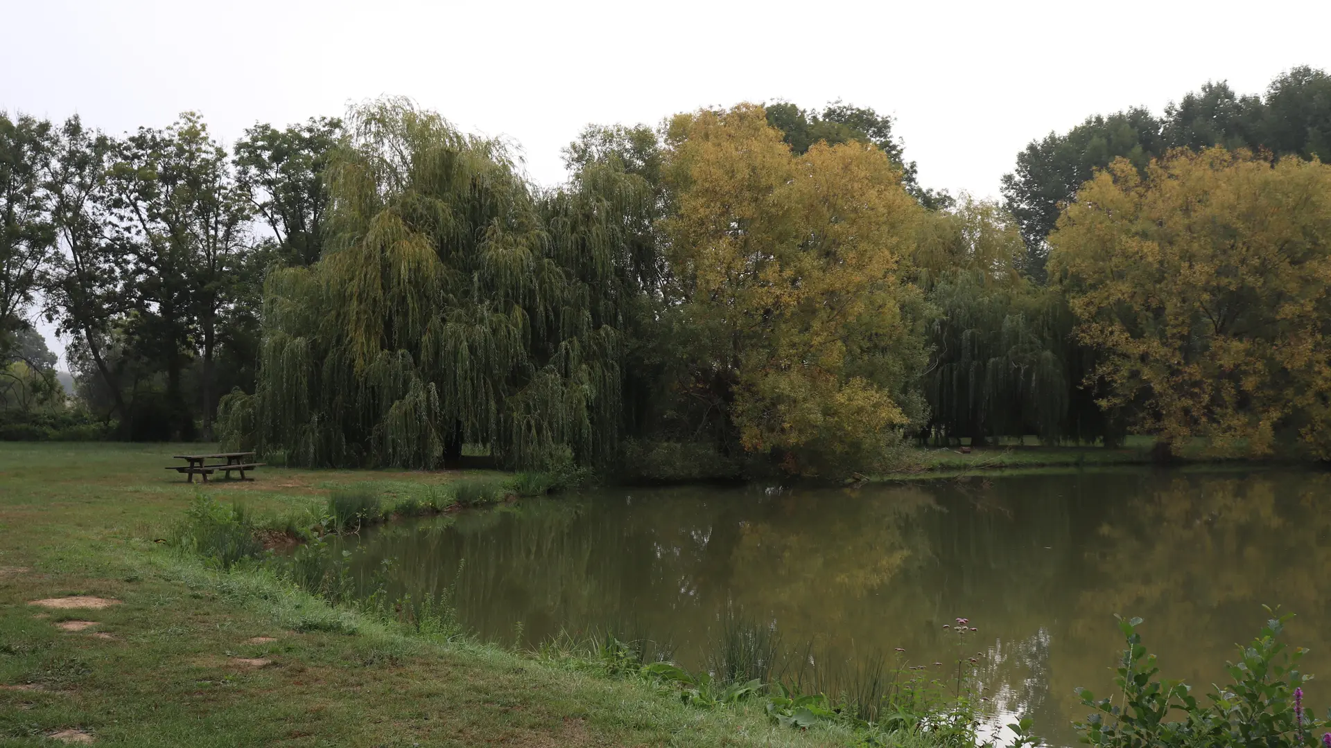 Plan d'eau de Chérancé