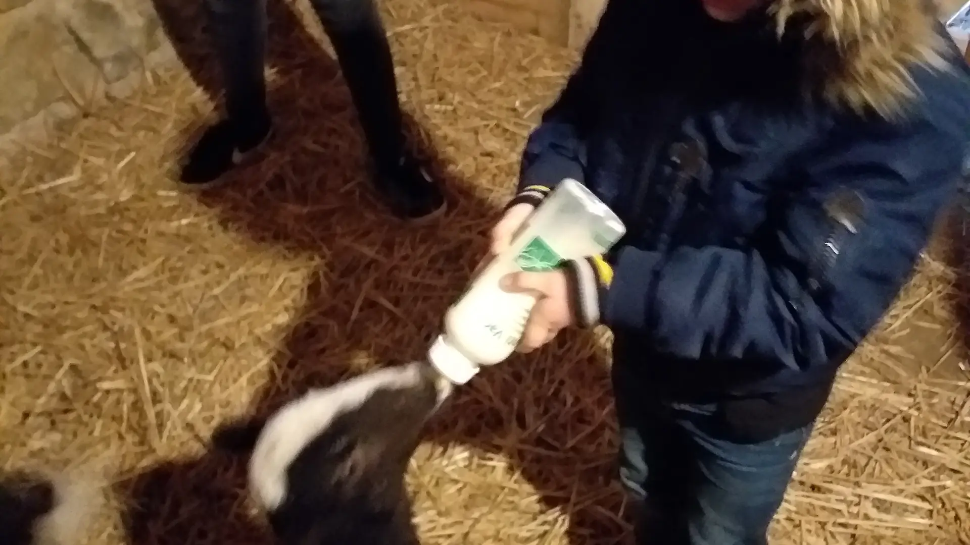Ferme pédagogique le Moulin du Rouveau_Oizé