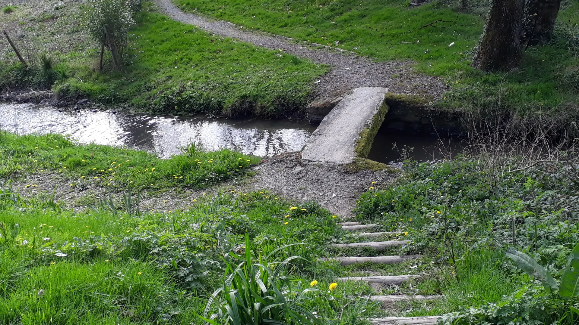 Parcours baludik - la Tardière - 85