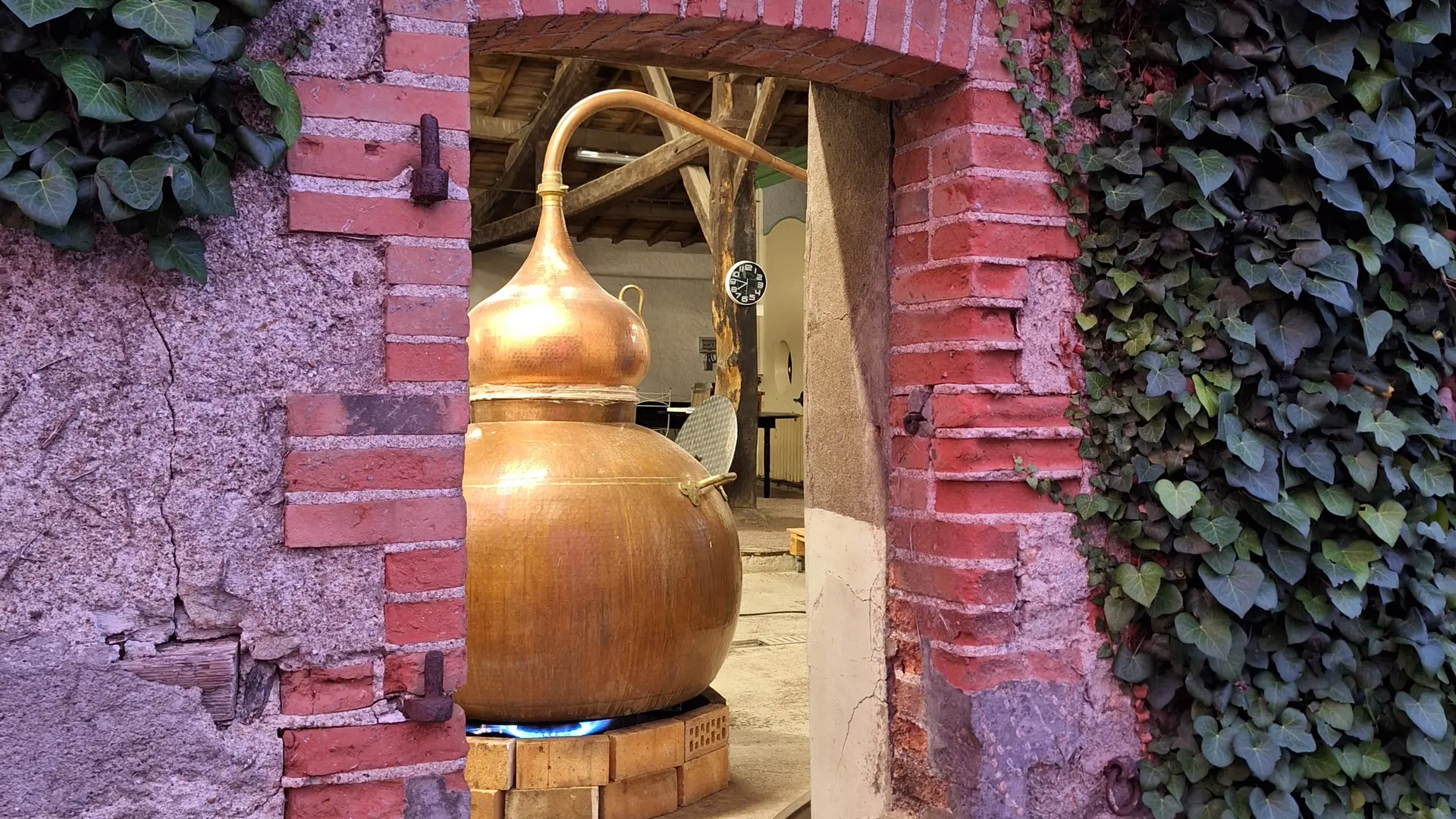 Distillerie Divine - Alambic