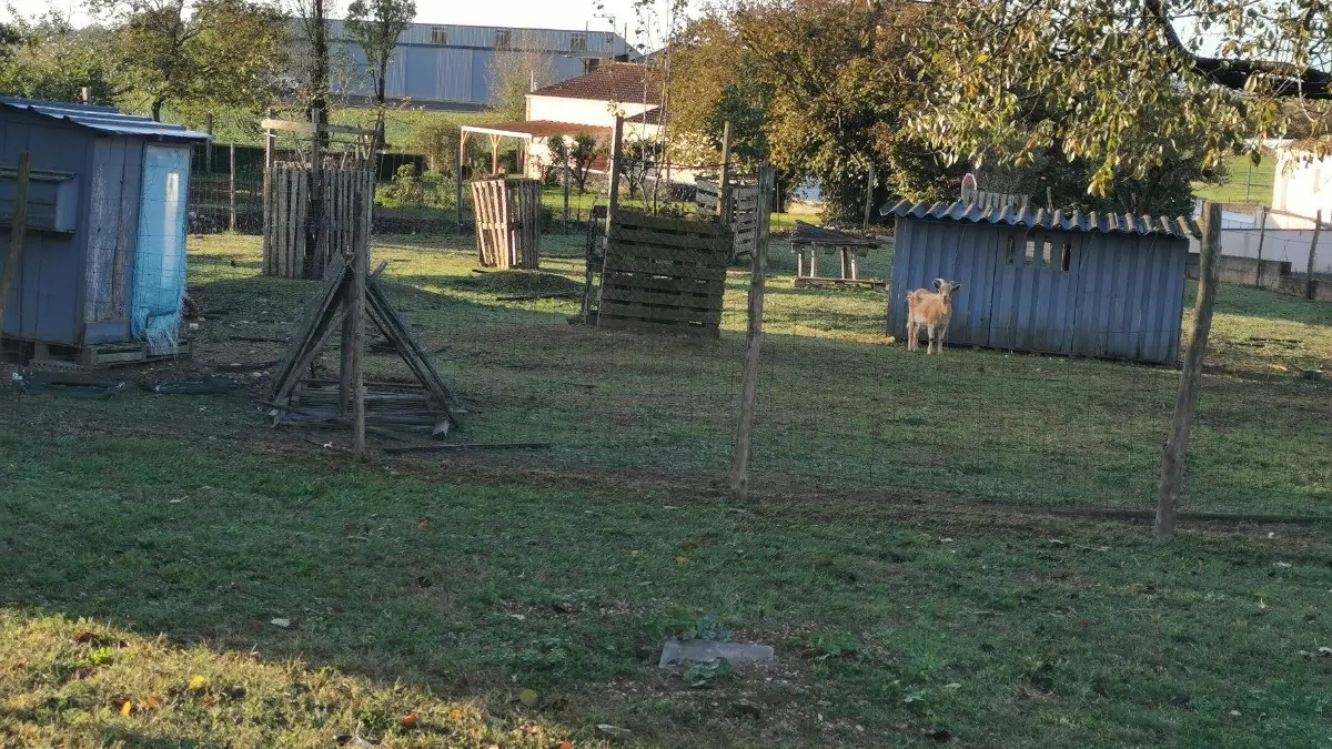 331920 - vue du jardin