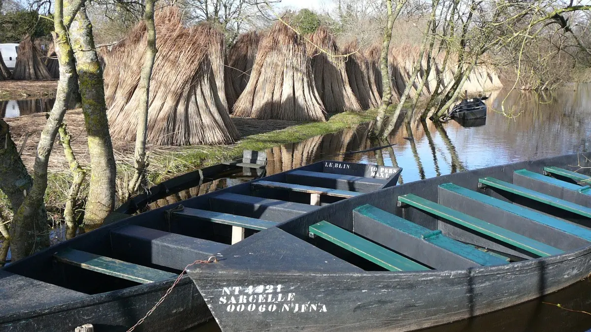 79825 - La Brière à 5 mn du gîte
