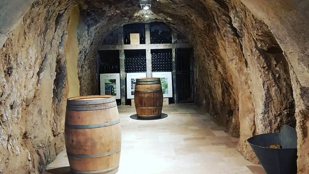 229176968_209290511205109_6529475520663164180_n