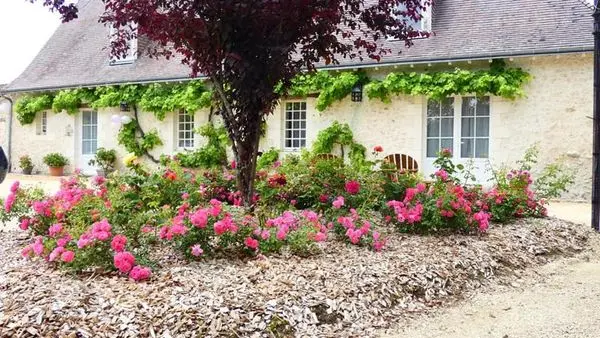 241178995_133368395674895_3972406214814854246_n