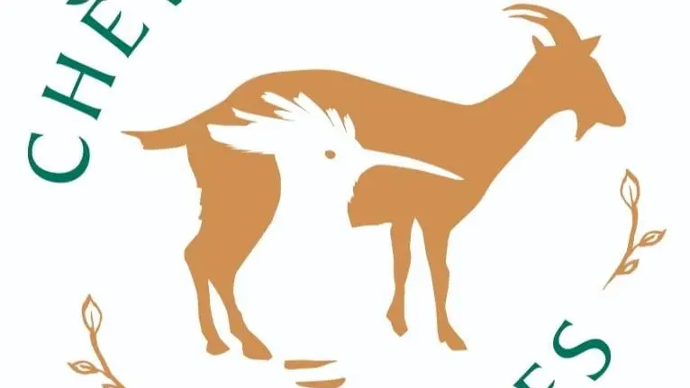 293351477_102002265923148_7741229930687997856_n