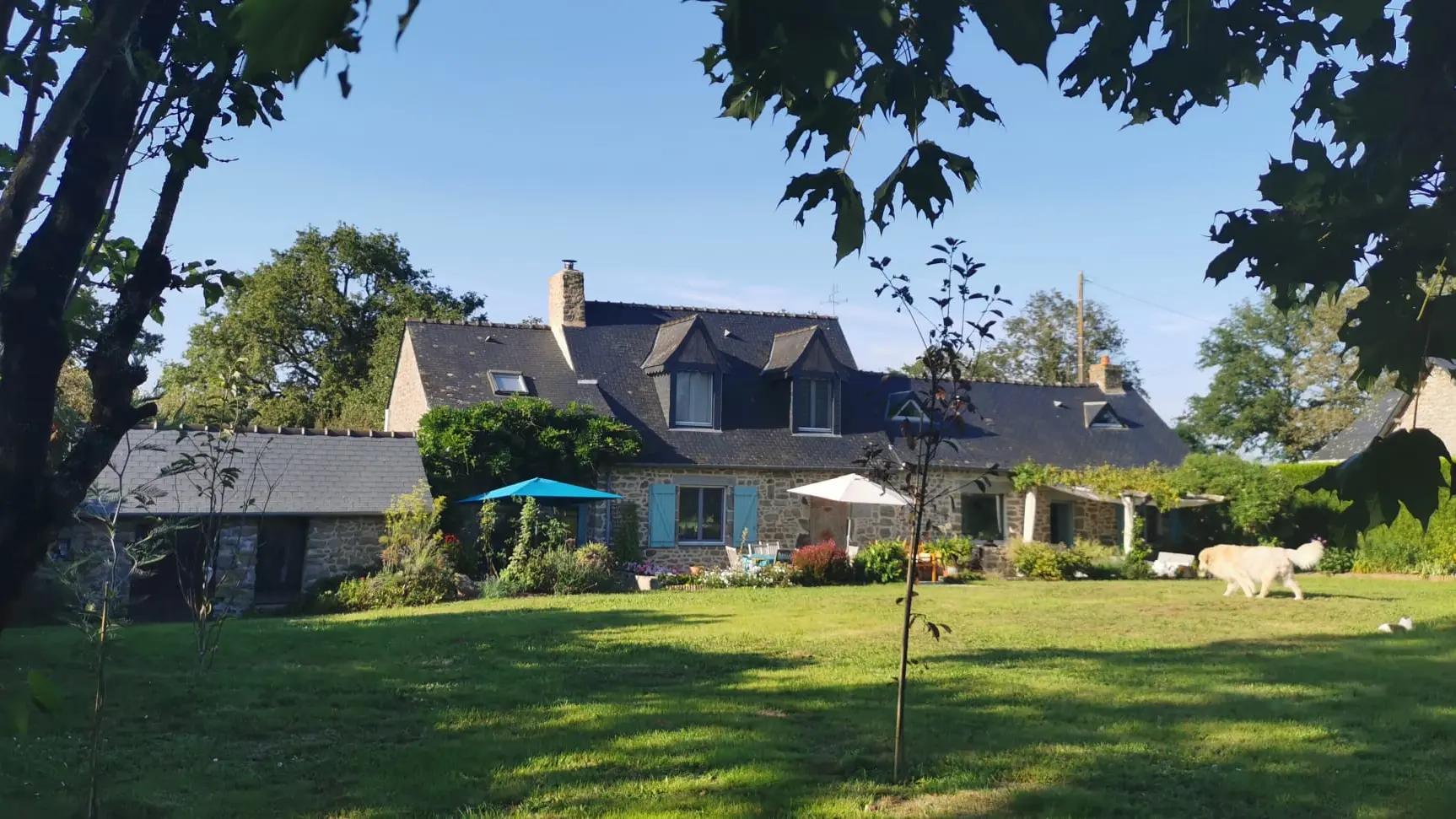 chambre d'hôte au coeur de la nature - Jublains