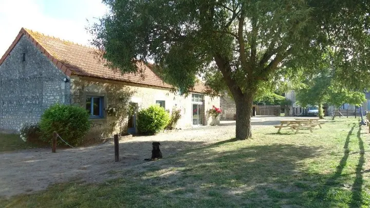 305270_102626149849314_209804381_n